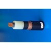 供應(yīng)YJV,YJLV電站專用交聯(lián)電力電纜